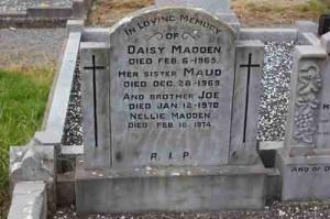 Madden Daisy